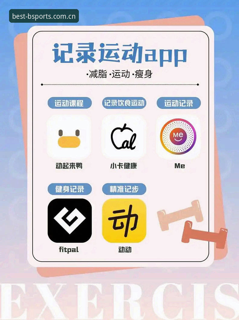 老用户分享：B体育平台实用注册与版本更新必备知识